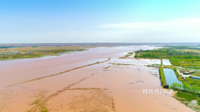 黄河、沙漠、生态、绿洲