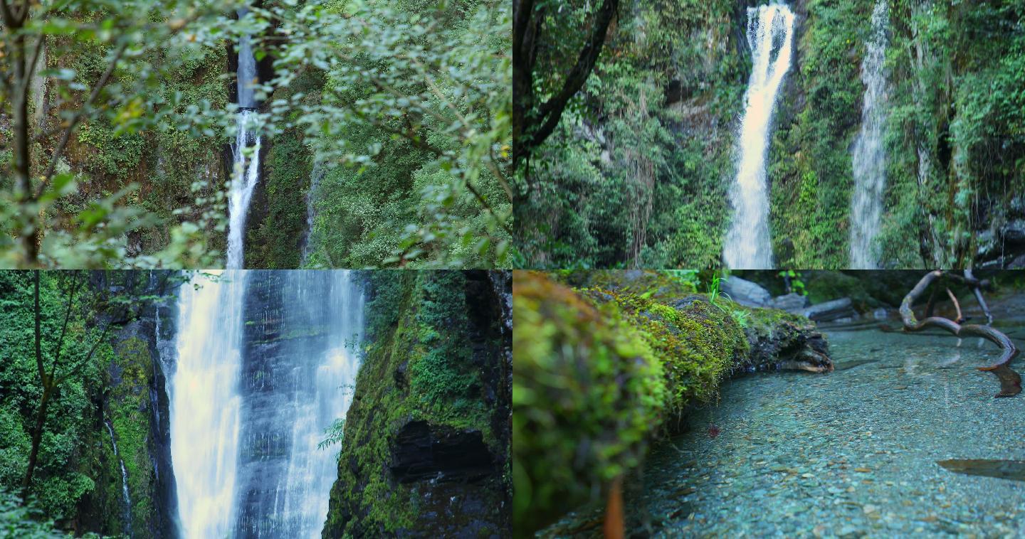 4K山涧清澈泉水原始森林镜头