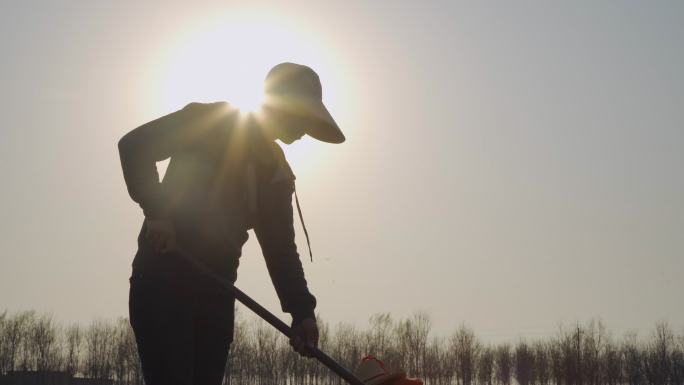 【原创】夕阳下农民锄草