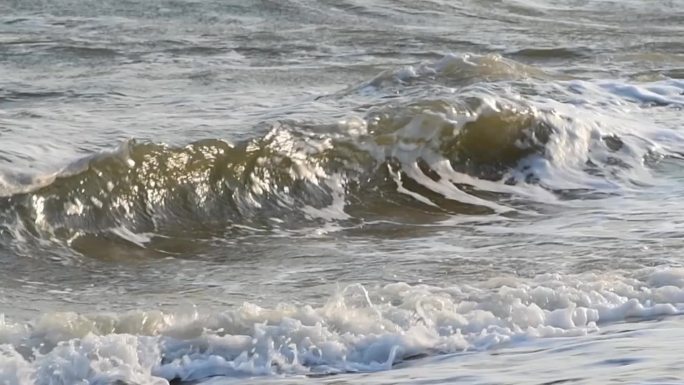 海鸥浪花