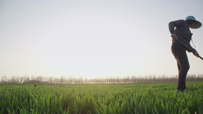 【原创】农民锄草