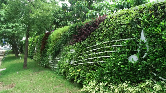 围墙外观绿化