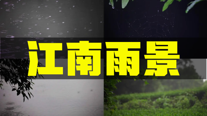 谷雨节气江南雨景