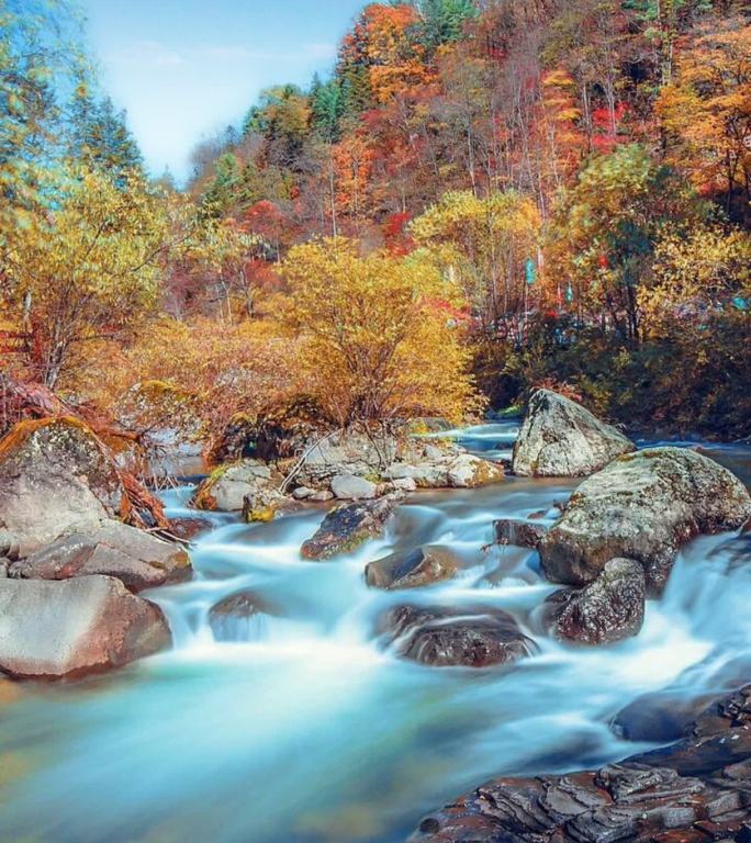 秋天的溪流