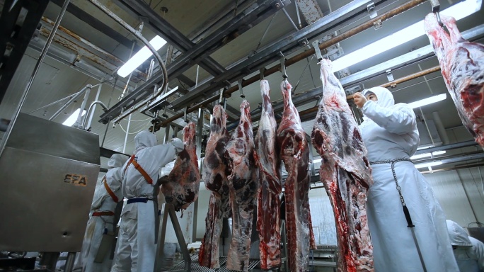 屠宰场肉加工猪肉食品肉制品加工生