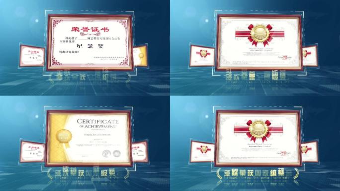 【原创】大气科技感证书荣誉专利图文字展示