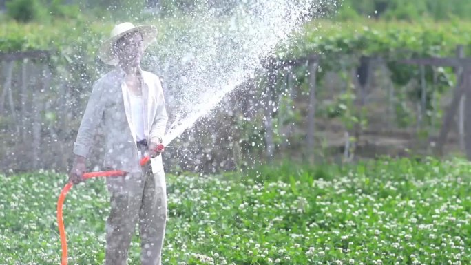 农民开心洒水灌溉