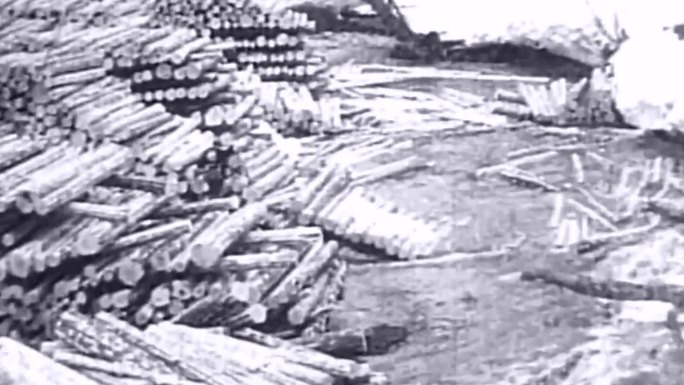40年代木材加工厂