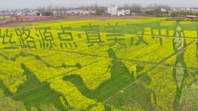 4K航拍陕西汉中城固丝路源点图案油菜花海