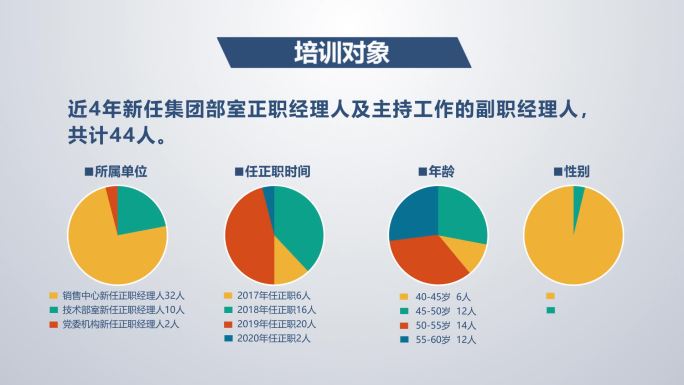 流程图饼状图亮调AE模板