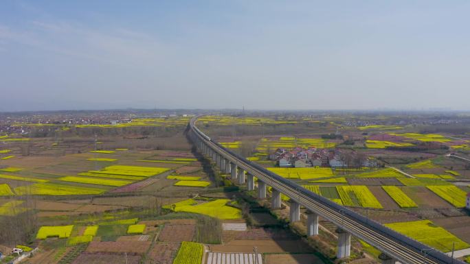 4K航拍陕西汉中城固高铁穿过油菜花海
