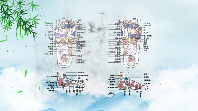 大气震撼水墨中医养生足道穴位AE模板