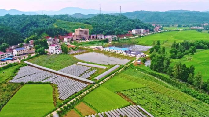 大棚农业种植农田基地产业化