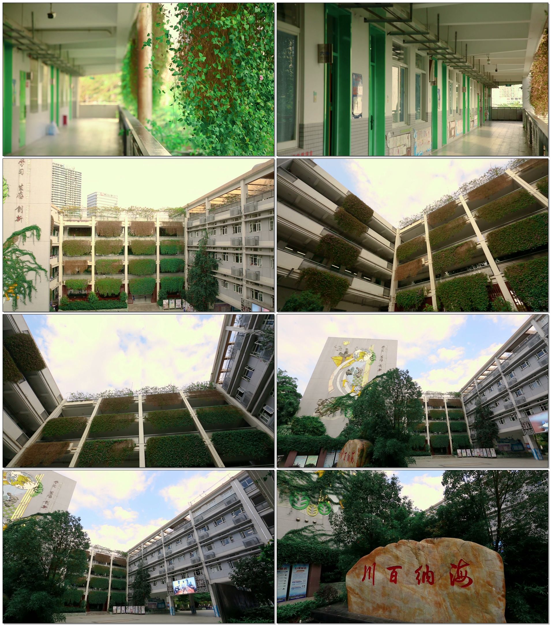 南海小学校园空镜_01080_高清素材(编号:4482228)_实拍视