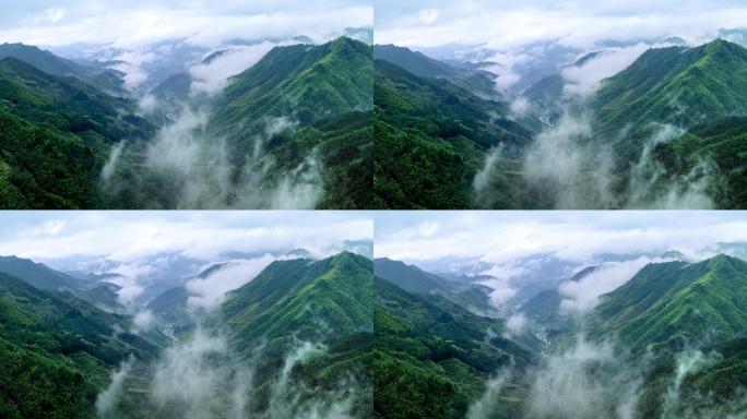 浙江丽水遂昌神龙谷风景区