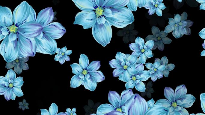 蓝色花朵无缝循-带透明通道
