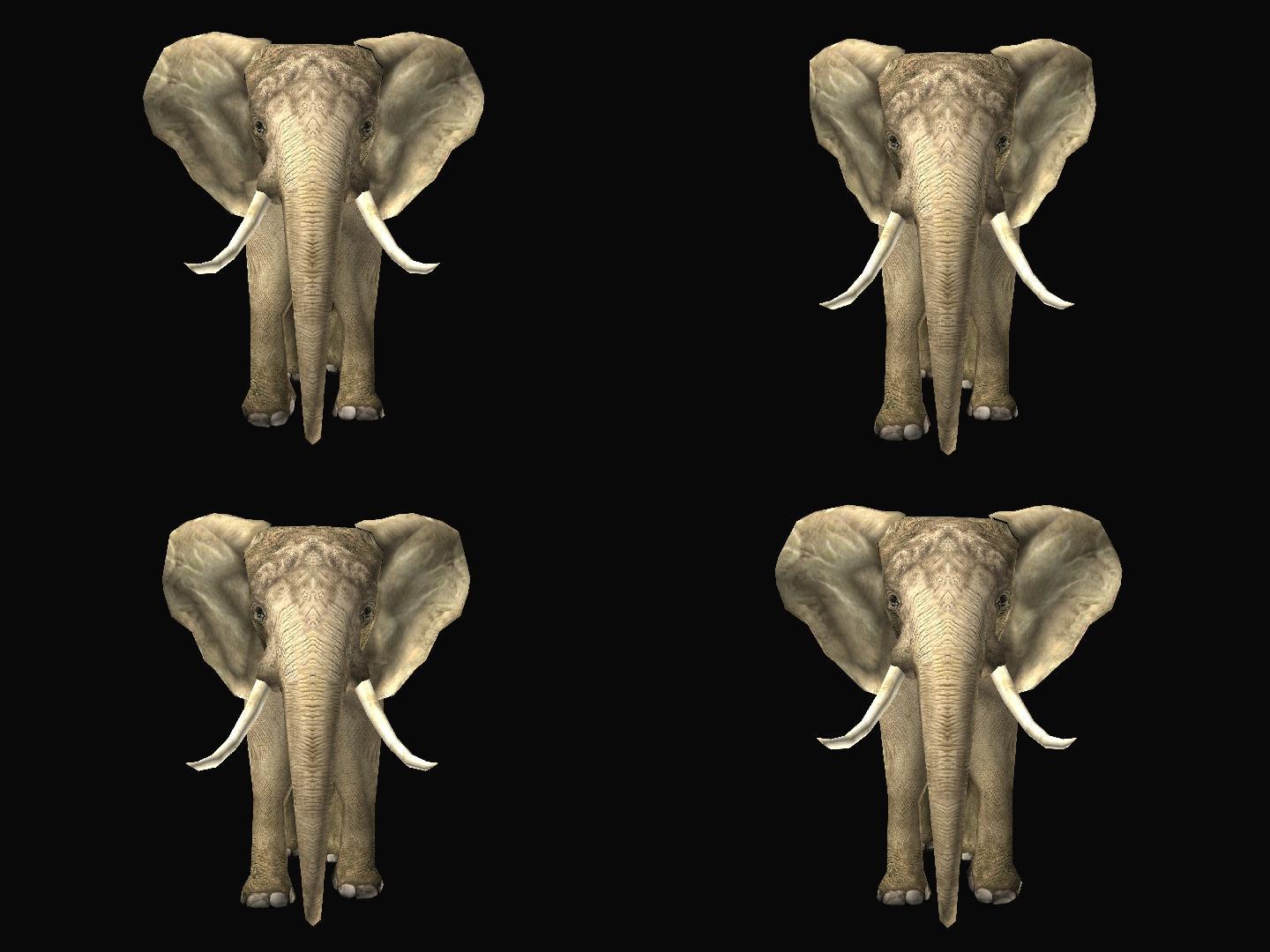 大象09