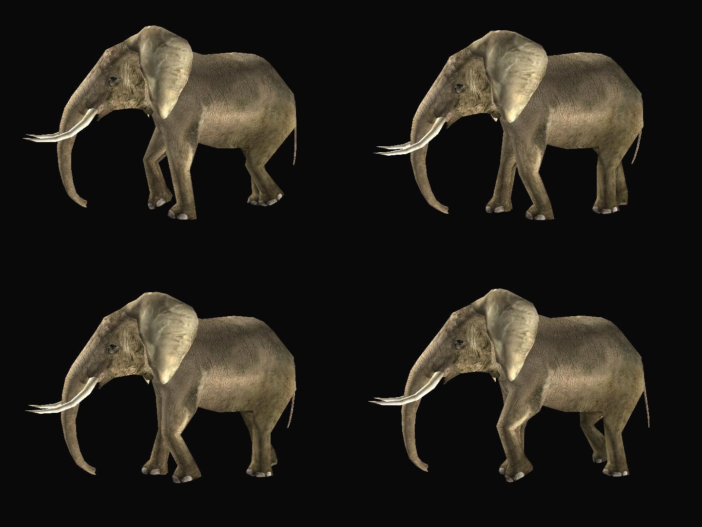 大象11
