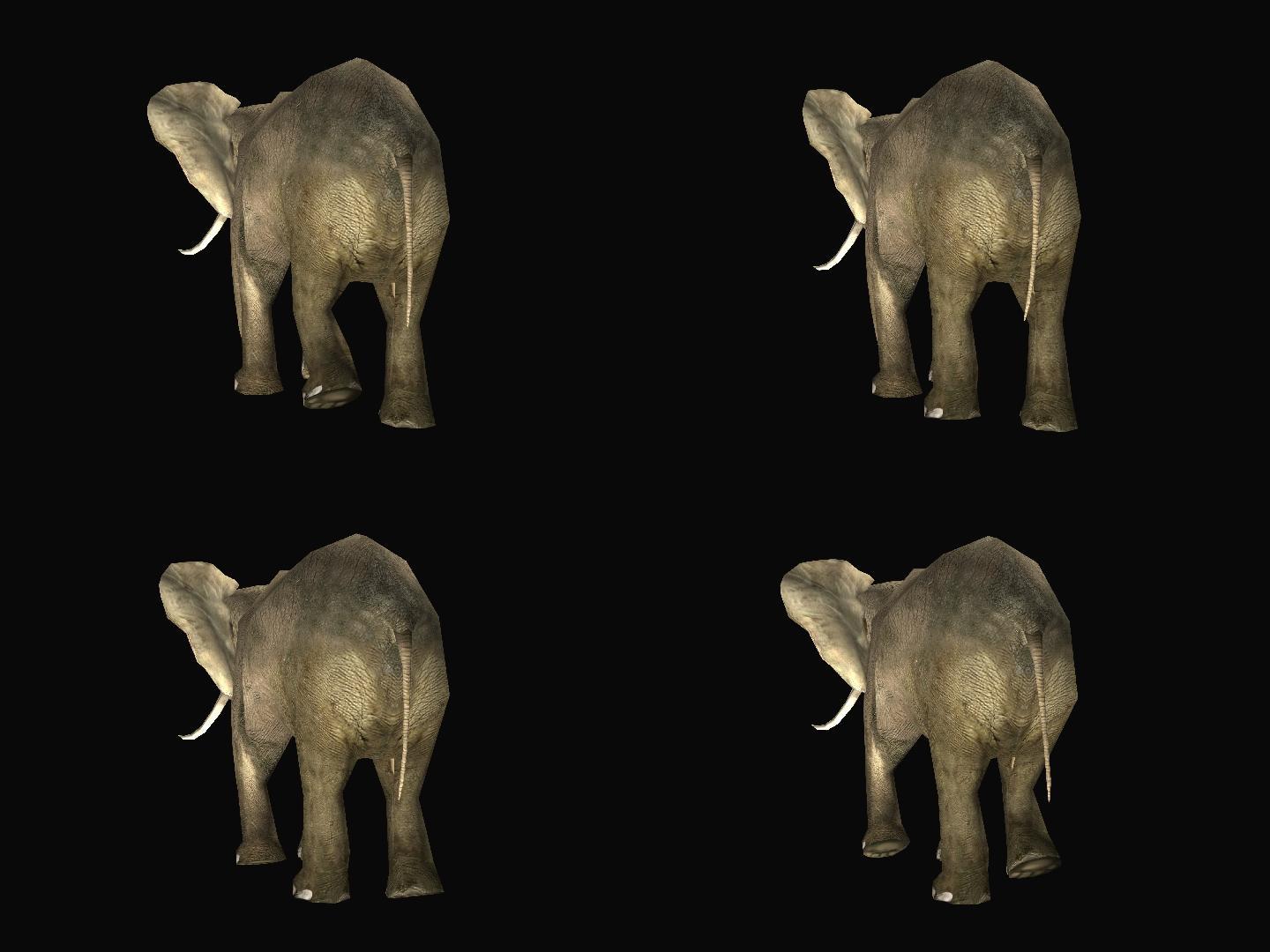 大象05