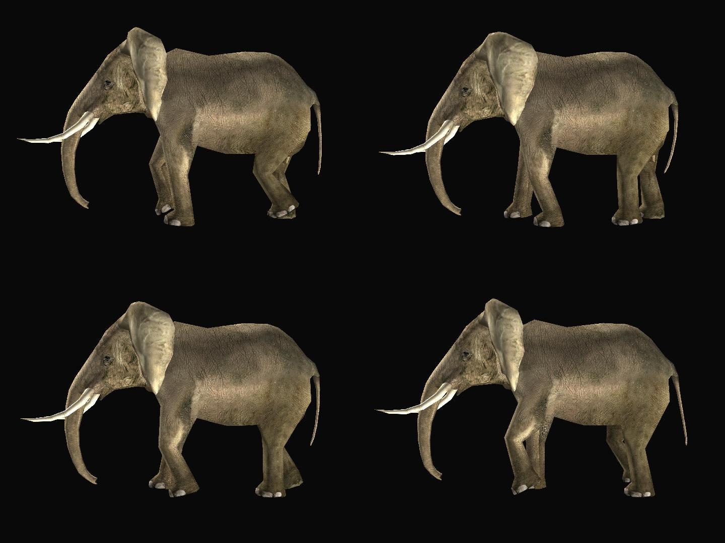 大象10