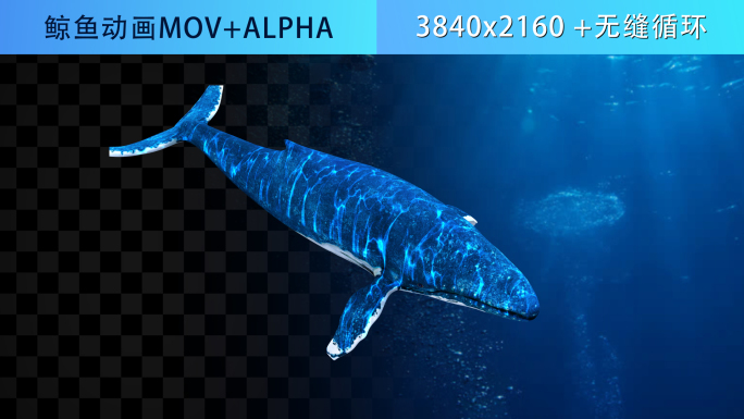 4K三维鲸鱼带通道视频素材