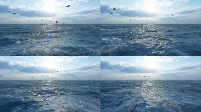 4K海鸥海面