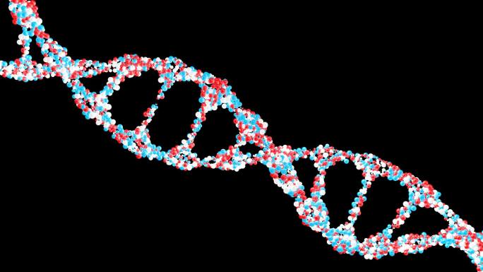 双螺旋DNA基因链