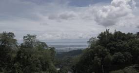 极品热带雨林俯瞰城市发展超清4K航拍视频素材