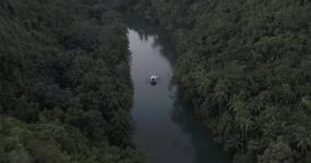 极品热带雨林静谧超清4K航拍视频素材