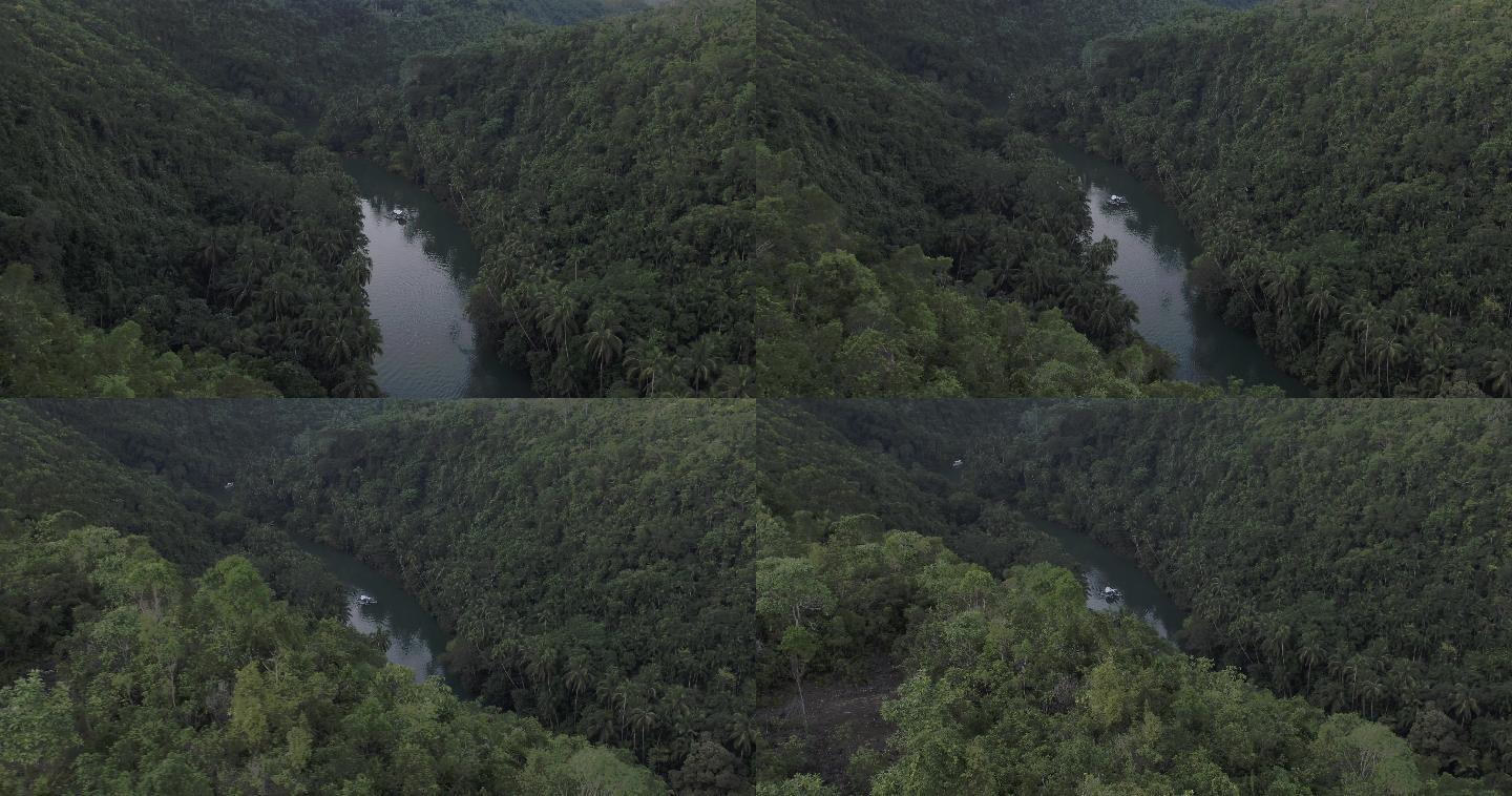 极品热带雨林静谧超清4K航拍