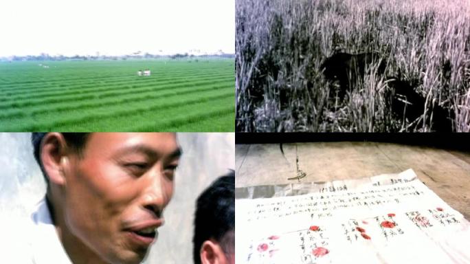 改革开放农村经济体制改革