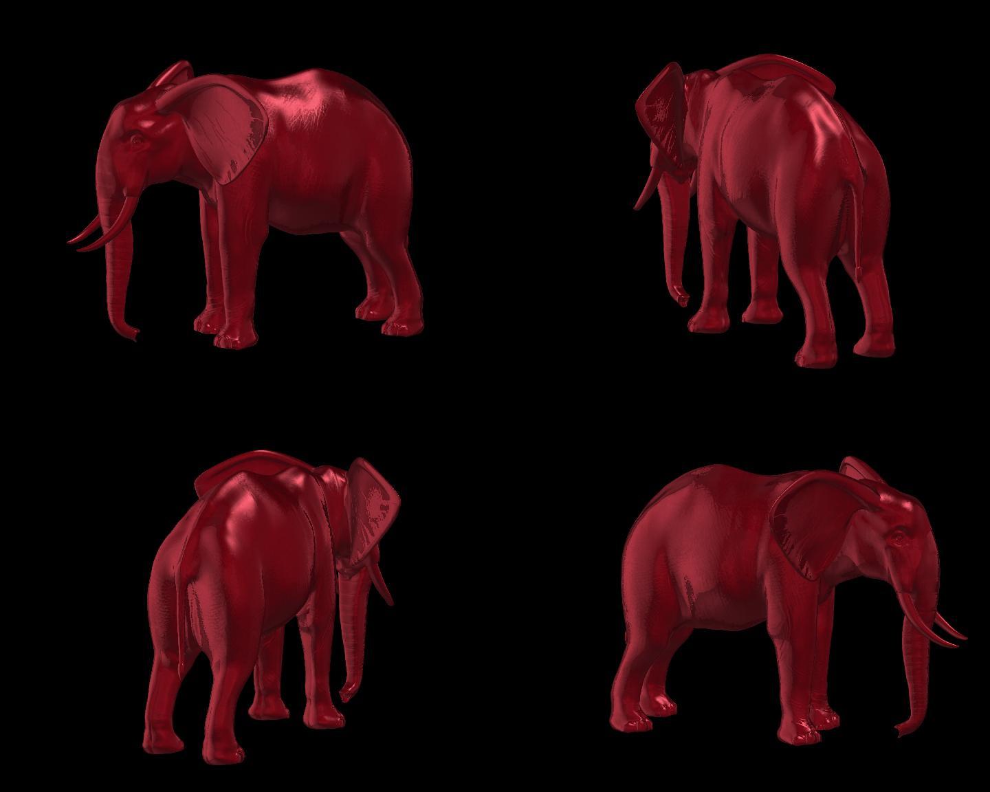 大象5