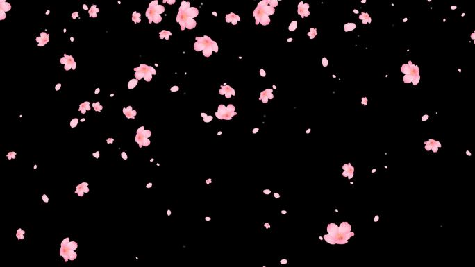桃花樱花飘落前景视频带透明通道