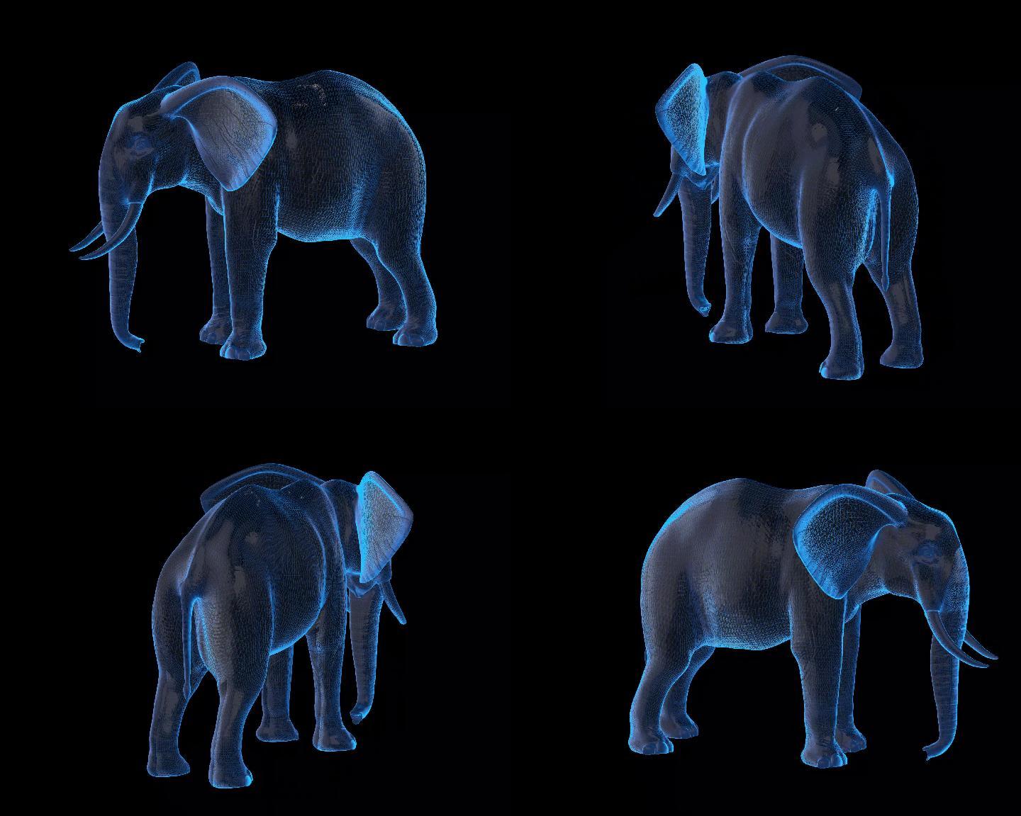 大象8
