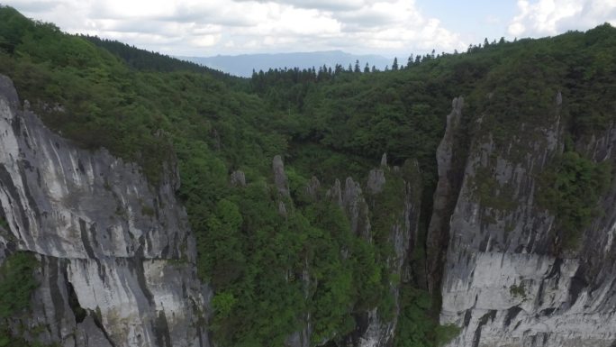 贵州贵阳道真县华山林场