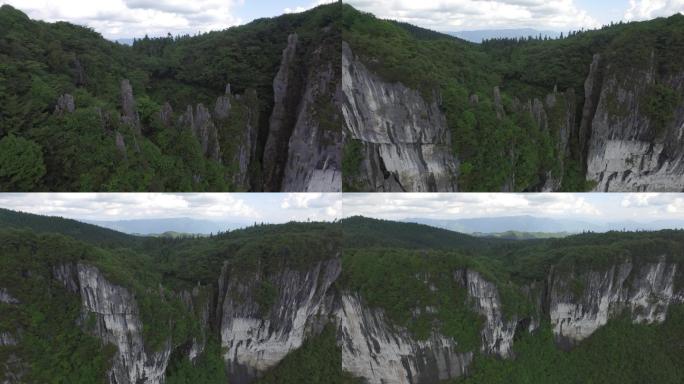 贵州贵阳道真县华山林场