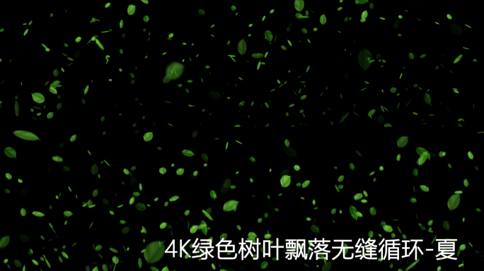 4K绿色树叶飘落四季变化-夏
