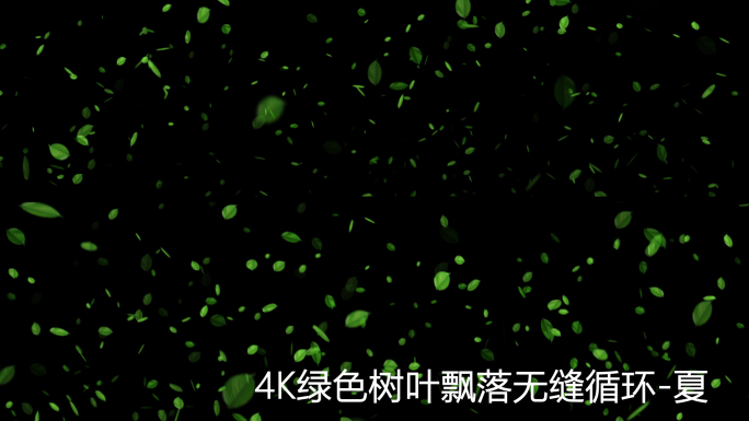 4K绿色树叶飘落四季变化-夏