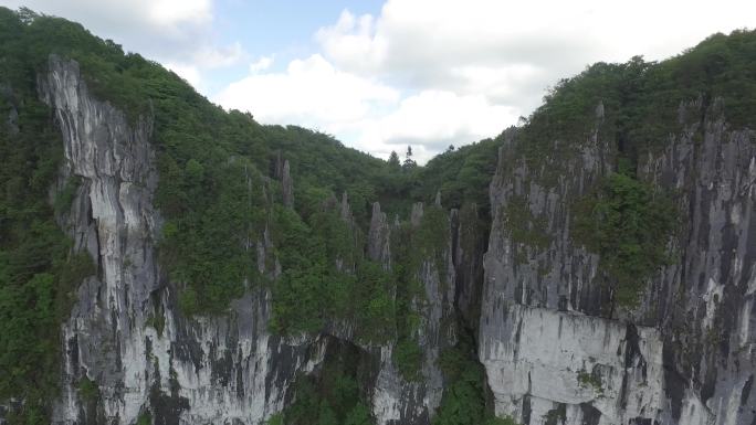 贵州贵阳道真县华山林场