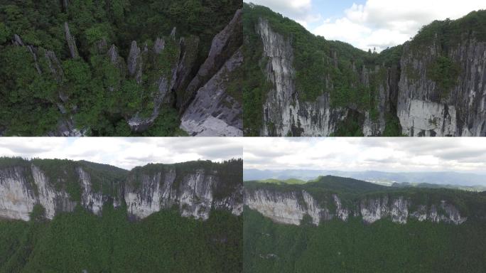 贵州贵阳道真县华山林场