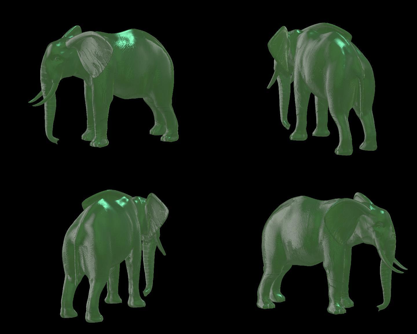 大象7