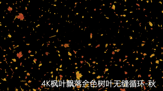 4K枫叶飘落金色树叶四季变化