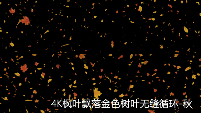 4K枫叶飘落金色树叶四季变化