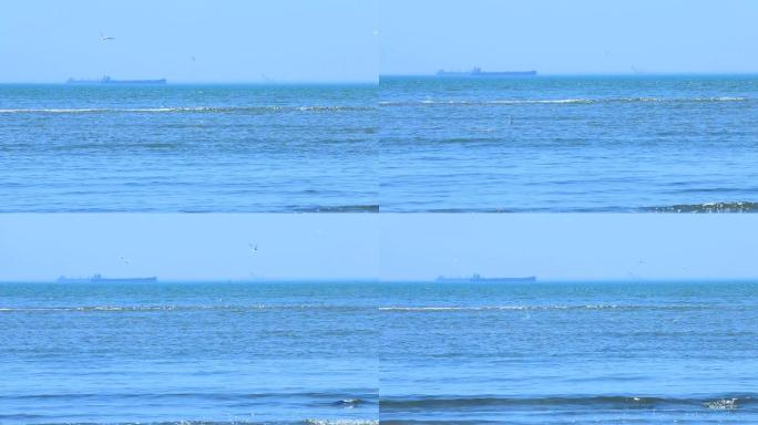 大海海鸥3连炸2视频素材1080P