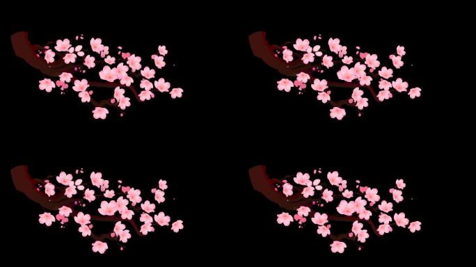 一枝樱花前景视频无缝循环