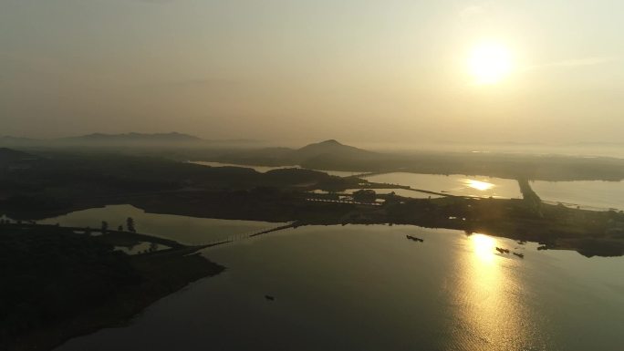 候鸟，夏候鸟