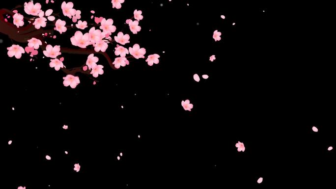 春天樱花视频带透明通道无缝循环
