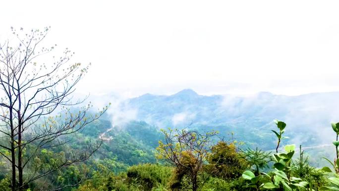 福鼎九峰山延时摄影