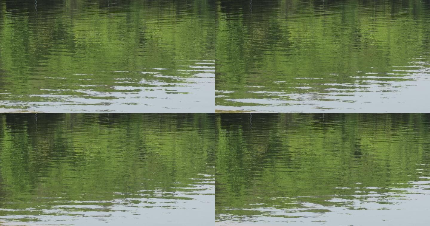 4K绿色湖面水面倒影涟漪01