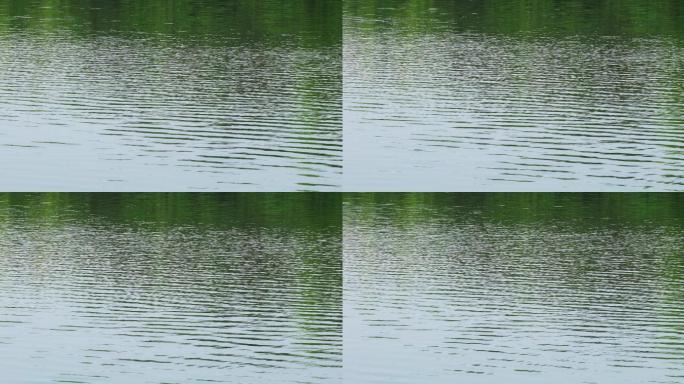 4K绿色湖面水面倒影涟漪04